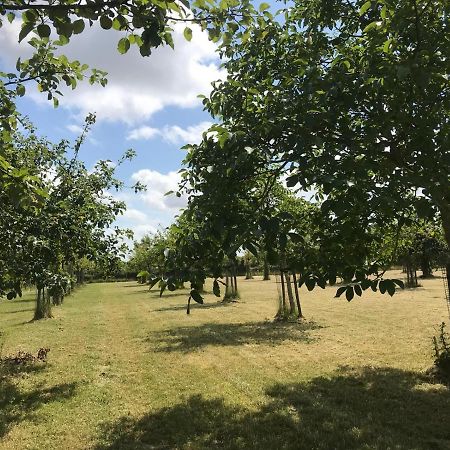 Het Koetshuis Villa Oostkapelle Exteriör bild