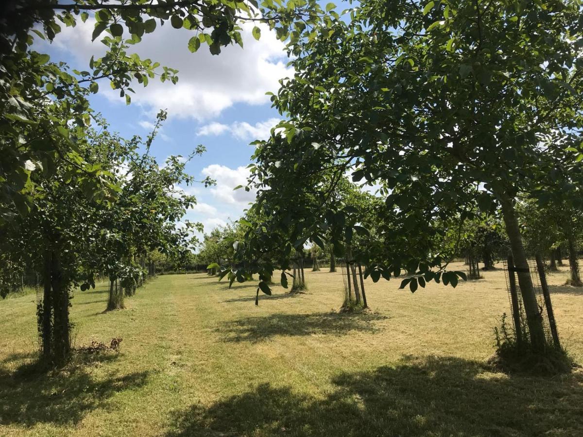 Het Koetshuis Villa Oostkapelle Exteriör bild